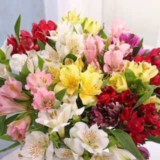 RAMO DE ALSTROEMERIAS