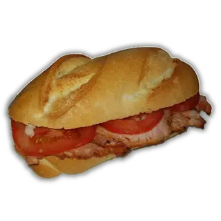 Pulga del día 