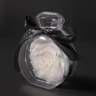 White jewel eternal rose 