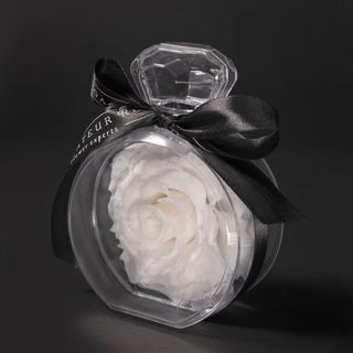 White jewel eternal rose 
