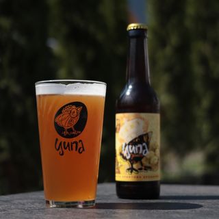 Пиво Ципа Золота  0,5 Л