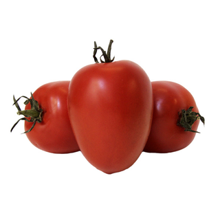 Tomate Pera