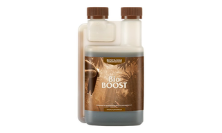 BIOCANNA Bio Boost 250 მლ