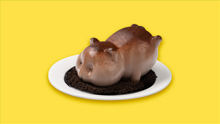 Хомяк Какао