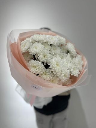 Стойкая хризантема 5 веток