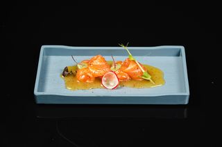13. YUZU SALMONE