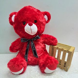 Red Teddy Bear 50cm