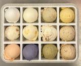 12 bolas box 
