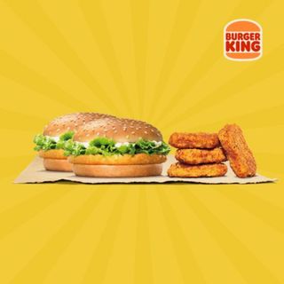 2 chicken burger + 4 chicken nuggets