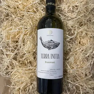 Вино Біле Н/солодке, Terra Initia, Banovani, 2022рік (грузія), 750мл