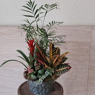 Centro de plantas  en laton. Tamaño mediano