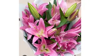 ვარდისფერი ლი ლია