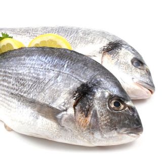 Dorada (900-1,1kg)