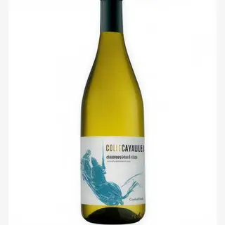 Colle Cavalieri Bianco Frizzante
