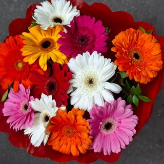 Bouquet   gerbera