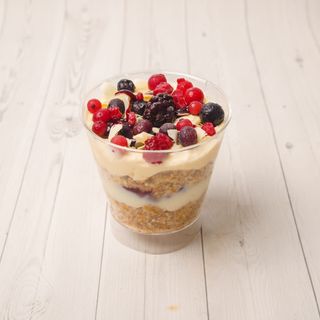 Bosque Encantado no Pote