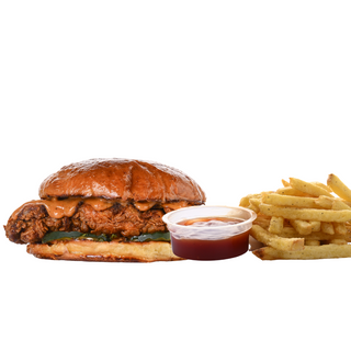 Spicy Chicken Burger ( Mild) with Fries