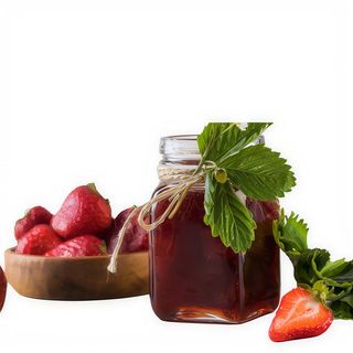 Macedonia Probiotica