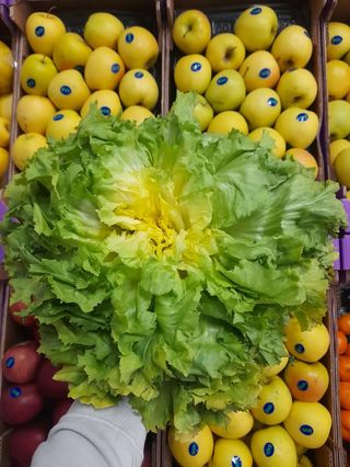 Scarola a foglie larga al mazzo