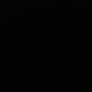 Rata prajita in sos chinezesc