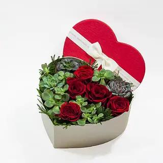 Suculentas e Rosas