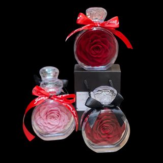 Our Special Forever Rose