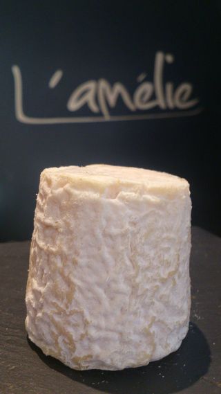 Chabichou du Poitou DO Unidad