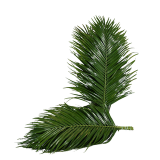 Robelini Flor Suelta (Por Unidad/Nos son ramos/No bouquet)