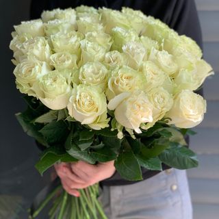 Біла троянда Еквадор поштучно