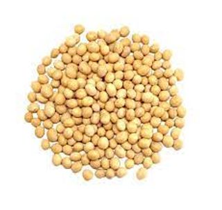 Soja Blanca Ecológica (500 Gr Aprox)