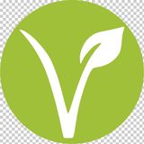 LASAÑA CASERA VEGETARIANA