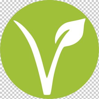 Hamburguesa Vegana No Carne