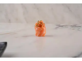 Umi Gunkan Saumon