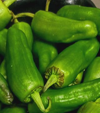 Pimientos del pais