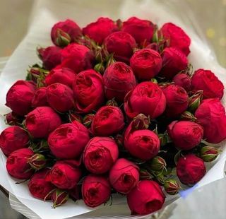 თაიგული #18