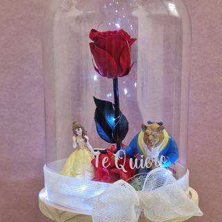 Cúpula Grande Bella y  Bestia Rosa Eterna y Luz