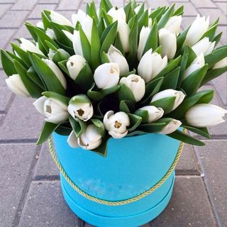 ტიტები ყუთში 10ცალი