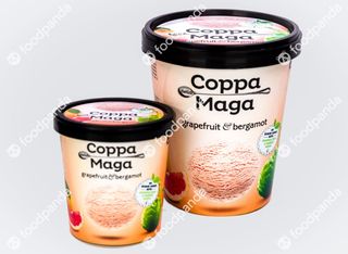 Сладолед без захар с грейпфрут и бергамот (500мл)