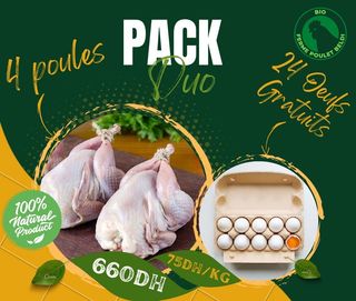 4 Poulet - Plateau D'œufs 24
