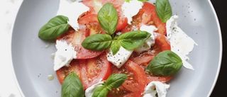 Insalata caprese
