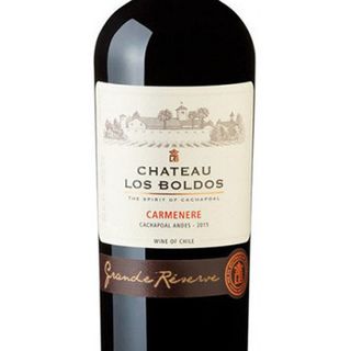 Chateau los Boldos Carmenere