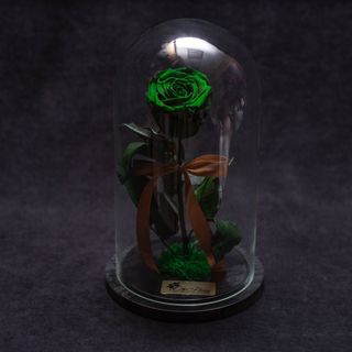 Trandafir Criogenat Verde Mic in Cupola Mare