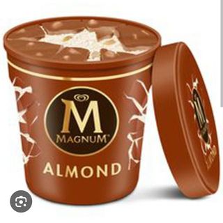 Helado Grande Magnum (465 Ml.)