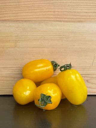 Pomodoro datterino giallo al kg