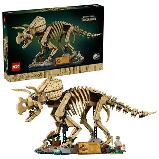 Fosile de dinozaur: Triceratops - 77985
