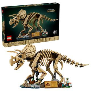 Fosile de dinozaur: Triceratops - 77985