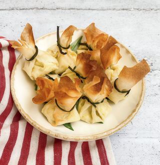 Saquitos Vegetales Fritos (5und)