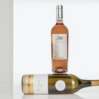 Ali Rosato Donna Laura