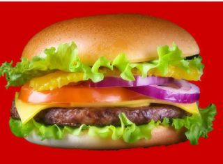 Chicken Burger + Salad