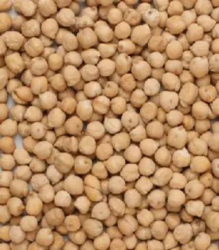 Garbanzo Pedrosillano (1 Kg.)